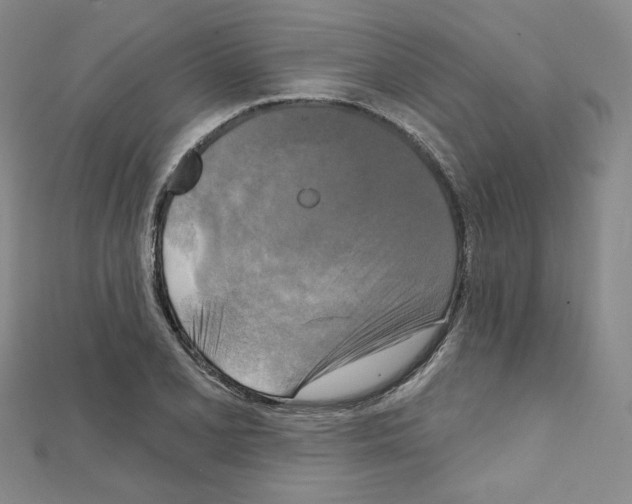 X0000111221077200908131056