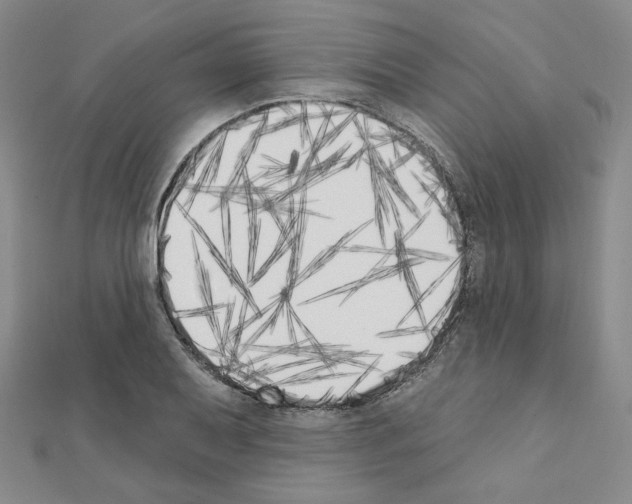 X0000111221079200908131056
