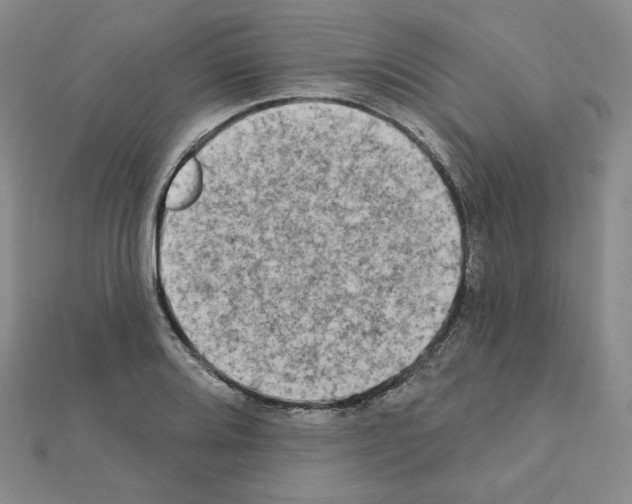 X0000111221080200908131056