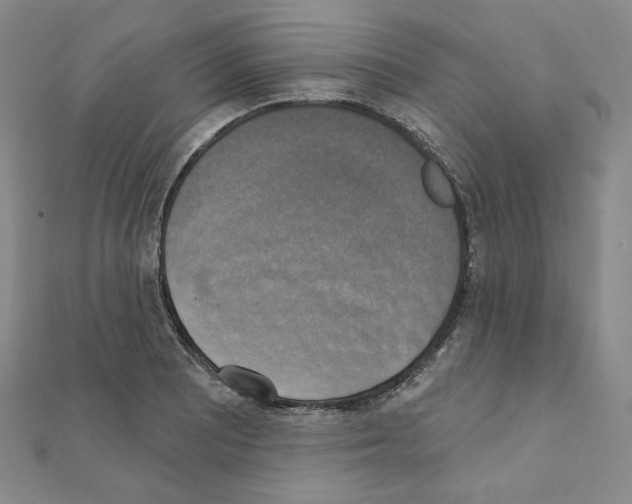 X0000111221081200908131056