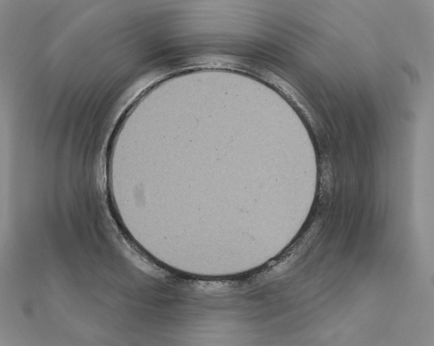 X0000111221082200908131056