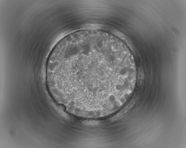 X0000111221083200908131056