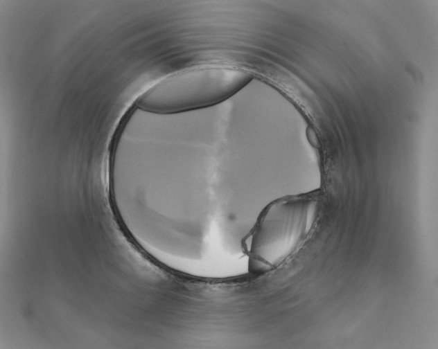 X0000111221084200908131056