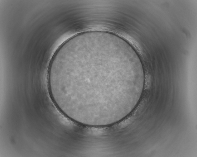 X0000111221086200908131056