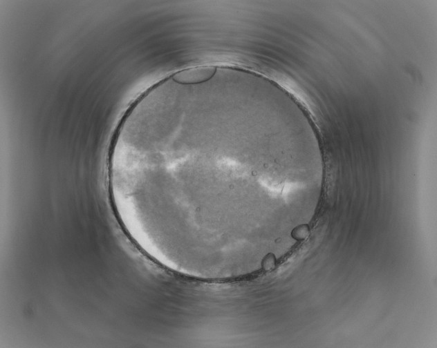 X0000111221088200908131056