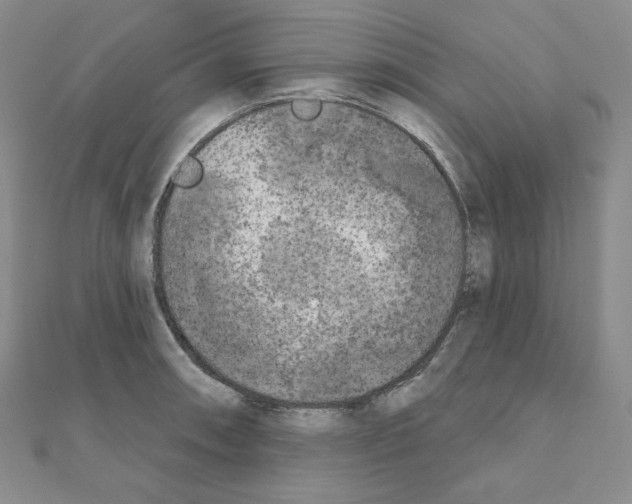 X0000111221090200908131056