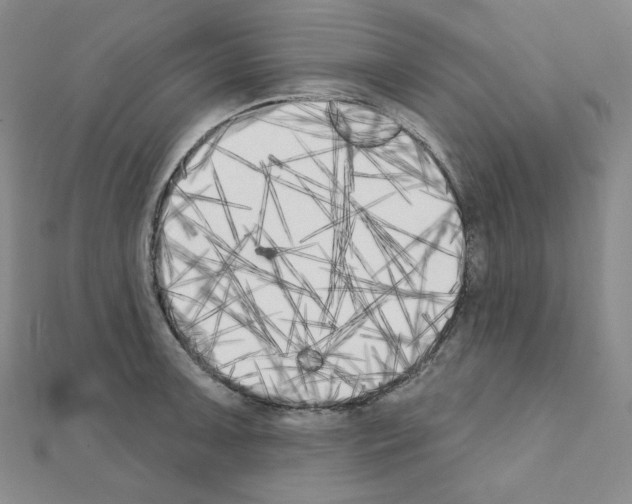 X0000111221091200908131056