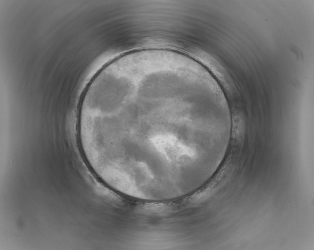 X0000111221094200908131056