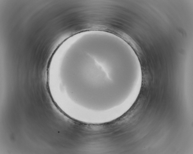 X0000111221095200908131055