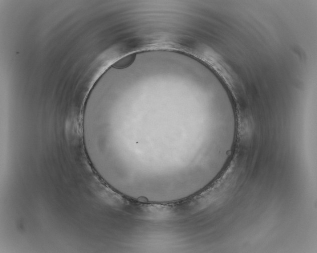 X0000111221097200908131055