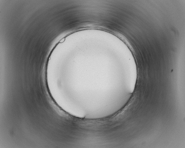 X0000111221098200908131055