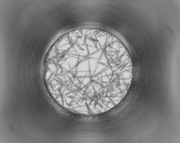 X0000111221099200908131055