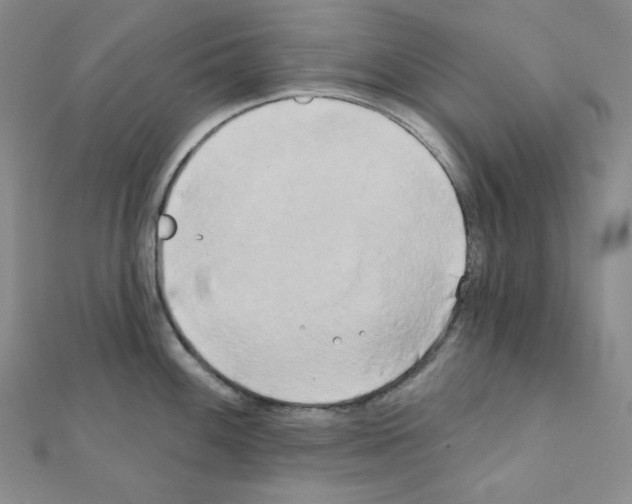 X0000111221100200908131055