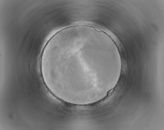 X0000111221102200908131055