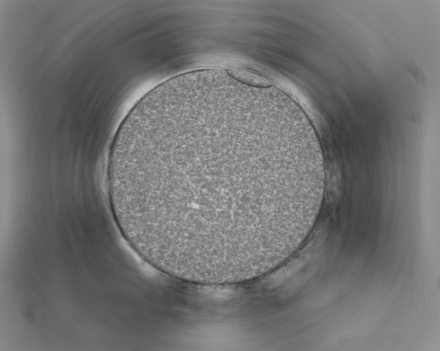 X0000111221103200908131055