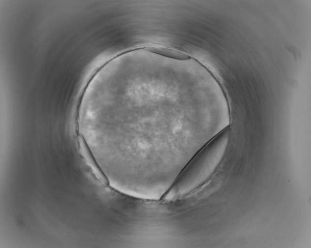 X0000111221104200908131055
