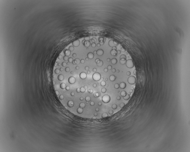 X0000111221106200908131055