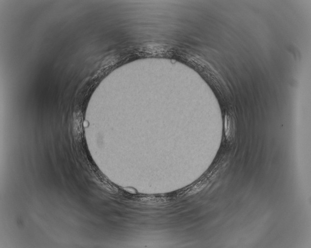 X0000111221107200908131055