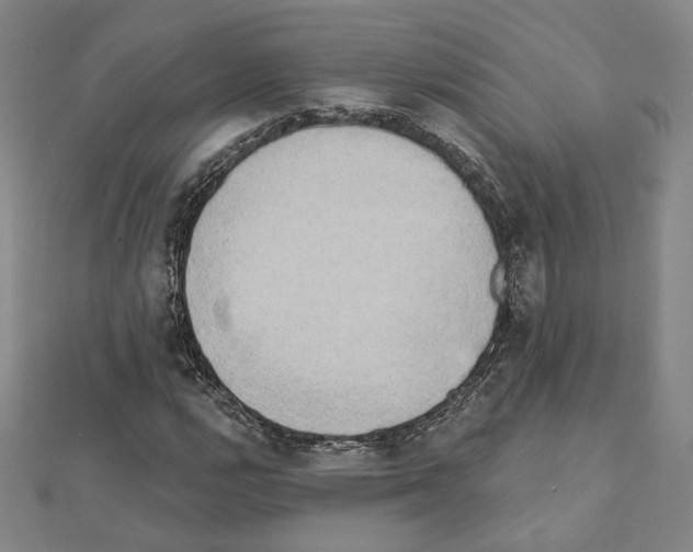 X0000111221112200908131055