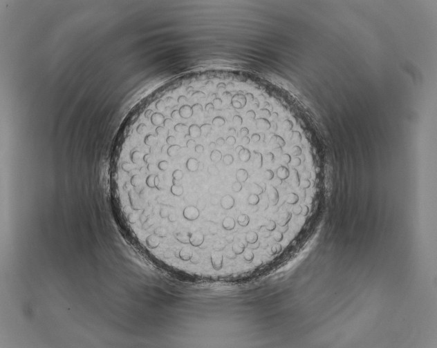 X0000111221113200908131055