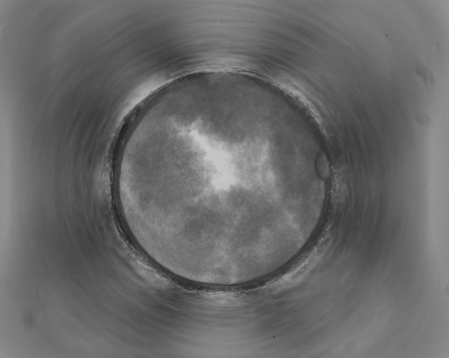 X0000111221114200908131055