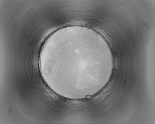 X0000111221115200908131055