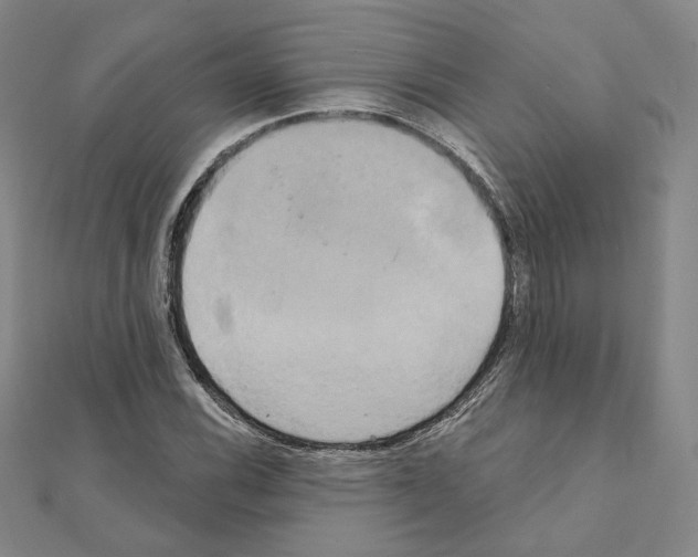 X0000111221116200908131055