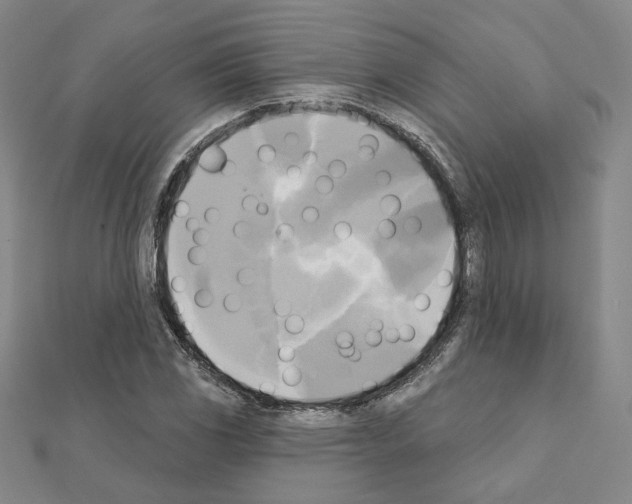 X0000111221117200908131055
