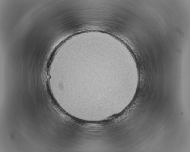 X0000111221119200908131055