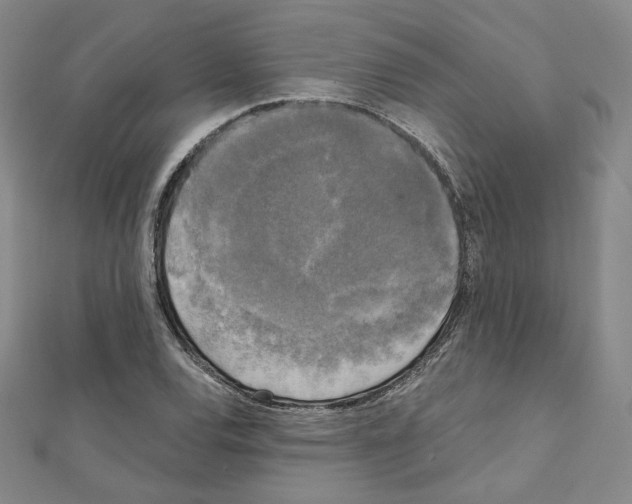 X0000111221120200908131055