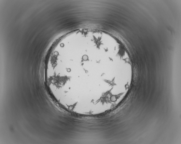 X0000111221123200908131055
