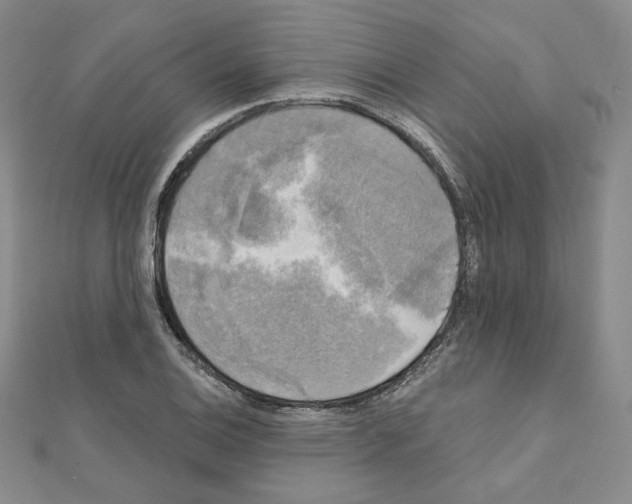 X0000111221124200908131055