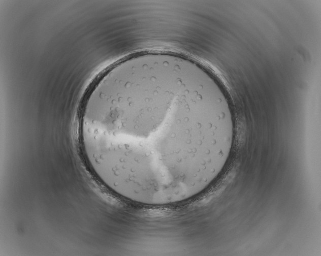 X0000111221125200908131055