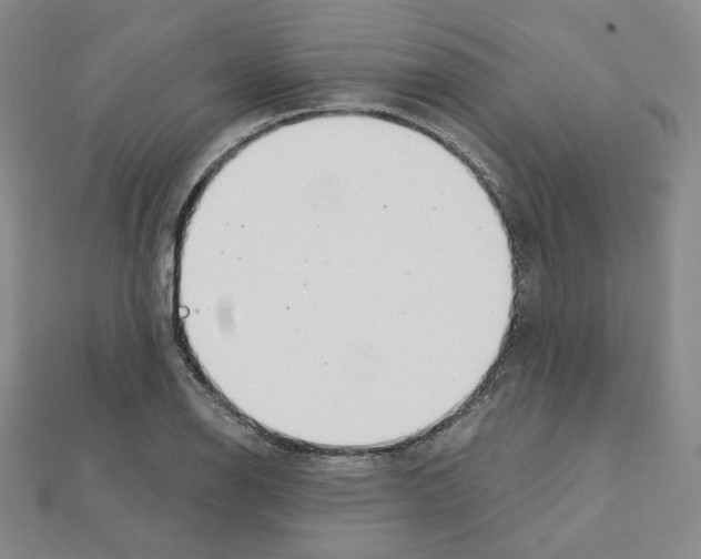 X0000111221126200908131055