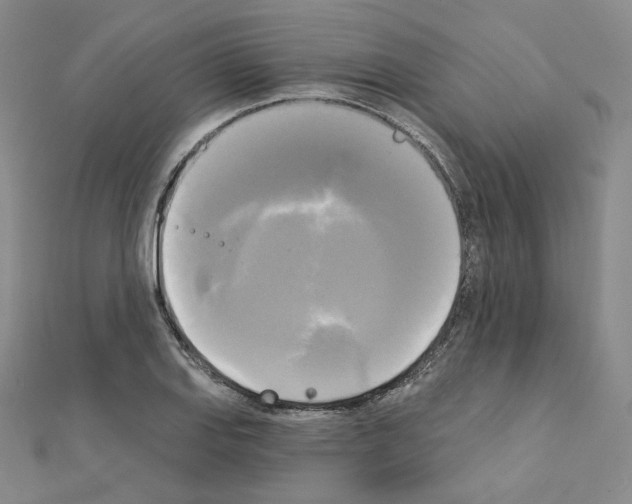 X0000111221127200908131055