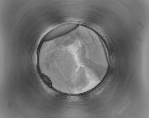 X0000111221128200908131055