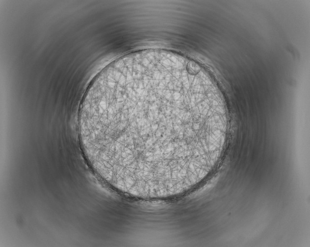 X0000111221129200908131055