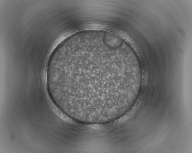X0000111221130200908131055