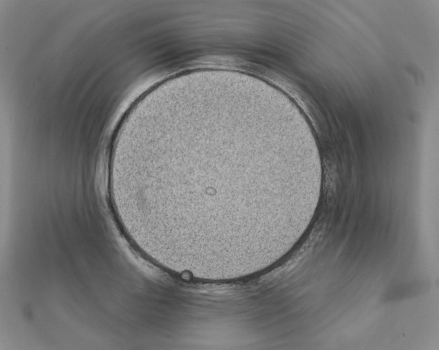 X0000111221131200908131055