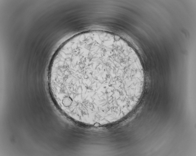 X0000111221133200908131055