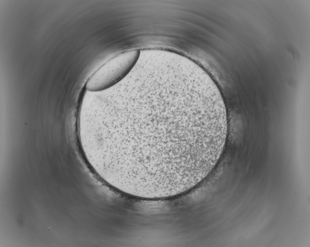X0000111221134200908131055