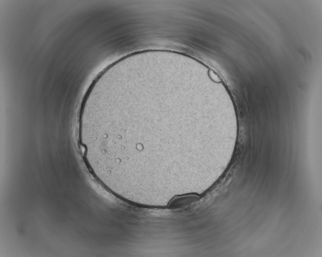 X0000111221136200908131055