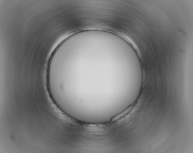 X0000111221138200908131055