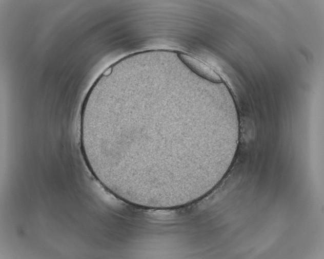 X0000111221140200908131055
