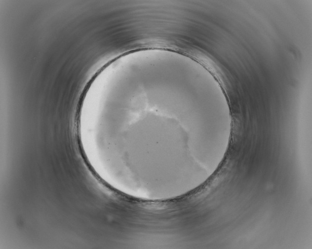 X0000111221141200908131055