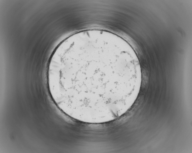 X0000111221142200908131055