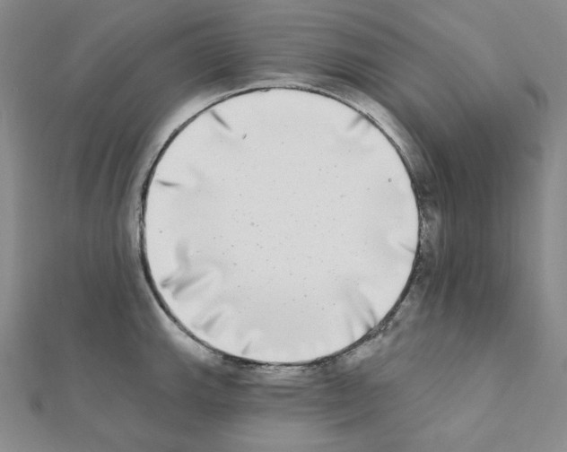 X0000111221143200908131055