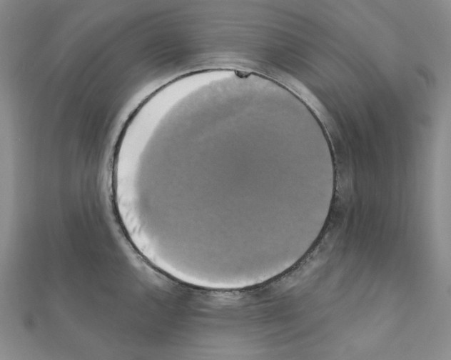 X0000111221144200908131055