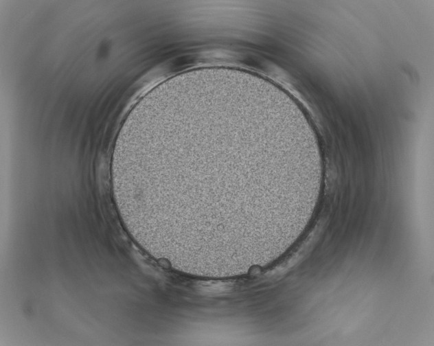 X0000111221145200908131055