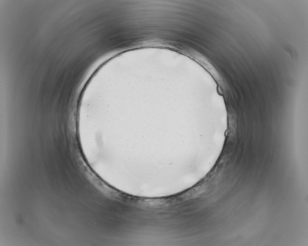 X0000111221148200908131055
